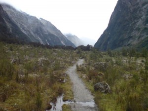 Teilstück des Milford Track Wanderweges