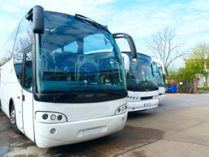 Busreisen